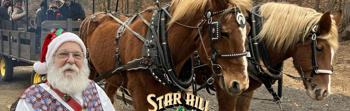 Some of Star Hill Family Farms horses guiding a wagon full of people through our trails.