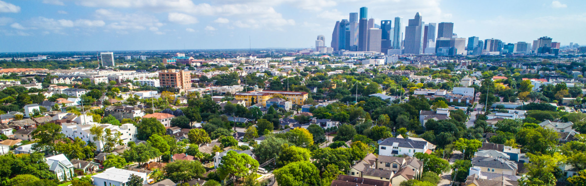 Montrose: The Making of a Neighborhood