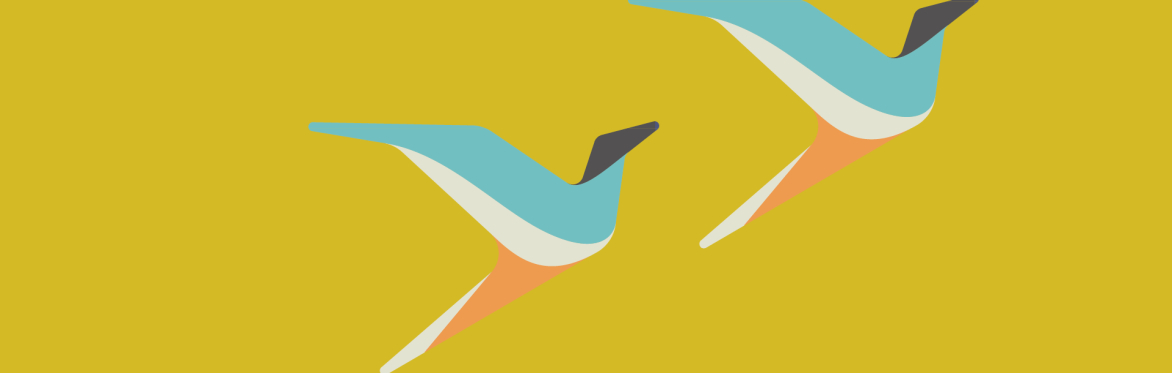 Two birds soaring in the sky against a bright yellow background.