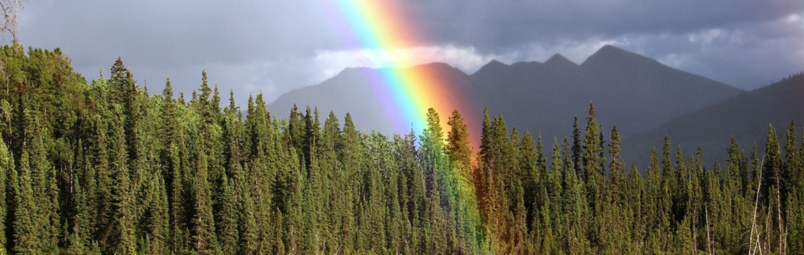 A Kaleidoscope of Light: Christianity & Other Faiths