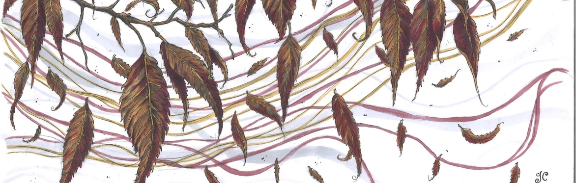 Hearth, Wood and Story: Autumn Family Day - Free Community Event