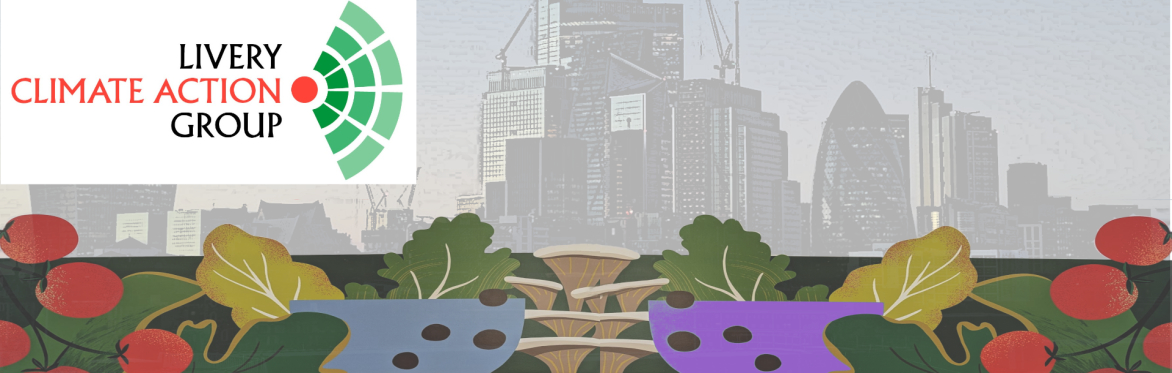 Innovation for Resilience: Livery Company Collaboration