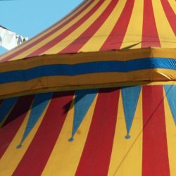 WELCOME TO THE CIRCUS 🎪🍸