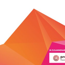Projektallianz: Der 90-Minuten Quickstart