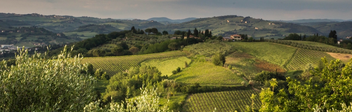 Introduction to Tuscany and Umbria