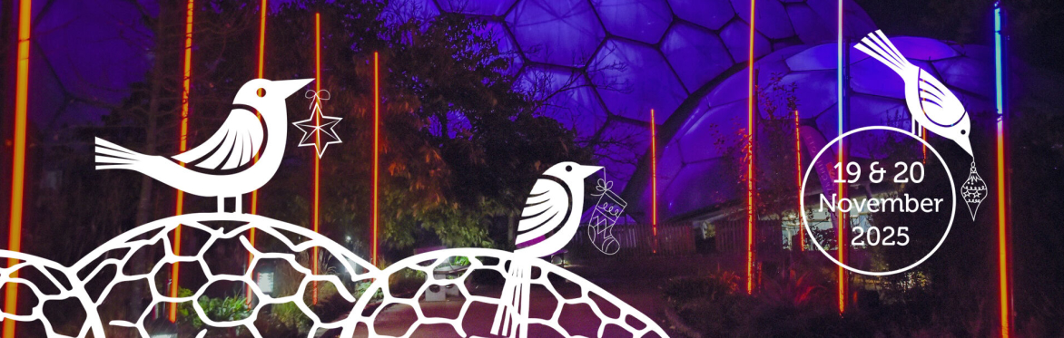 Cornwall Christmas Fair at Eden Project