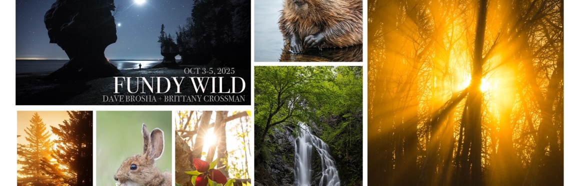 Fundy WILD 2025
