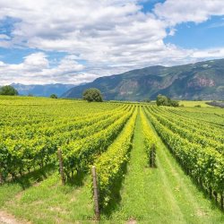 The Alpine Side of Italy: An Evening with Colterenzio