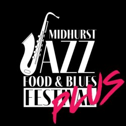 Weekend Festival Pass - Plus!