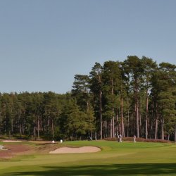 Swinley Forest Charity Golf Day