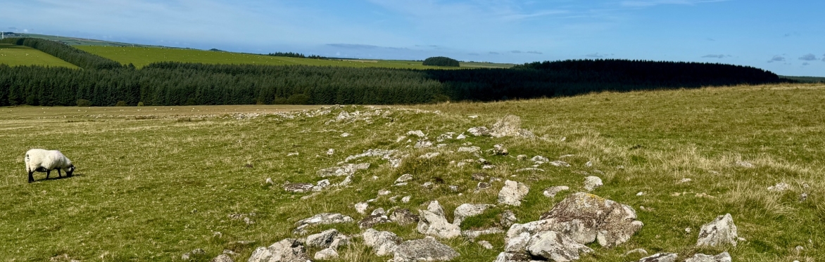 Zoom lecture: Ceri Rutter. The Forestry Commisision: Planting the Future...Preserving the Past
