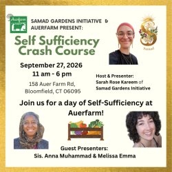 Self Sufficiency Crash Course