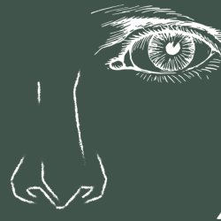 Anatomy Course - Eyes & Nose