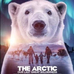 The Arctic: Our last great wilderness