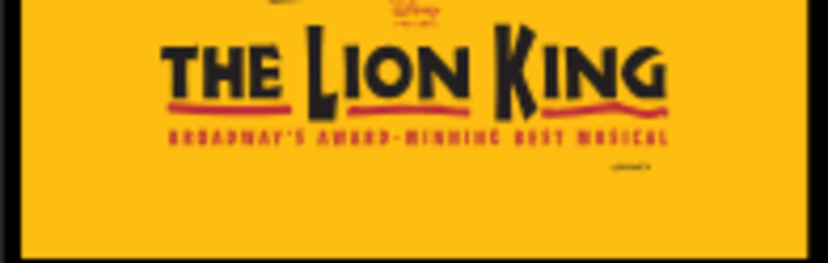 Lion king the musical relaxed performance group visit