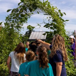 Homeschool Days (Ages 8-11) at 4Roots Farm