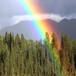 A Kaleidoscope of Light: Christianity & Other Faiths
