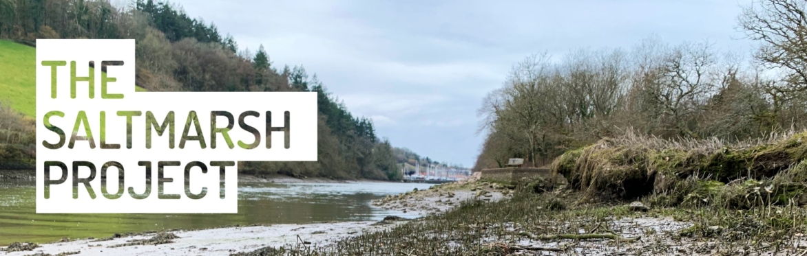 When Saltmarshes are not just Saltmarshes ·  Free Community Workshop