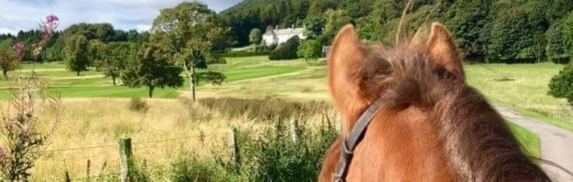 Horse Riding Fife (Novice - Advanced)