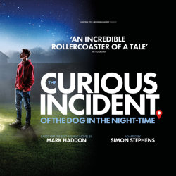 The Curious Incident of the Dog in the Night-Time