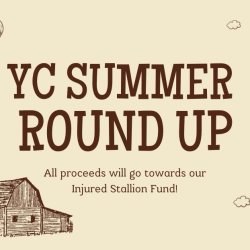 Young Commoners Summer Round Up