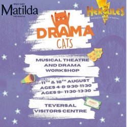 Drama cats