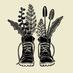 Green Shoes Book Talk