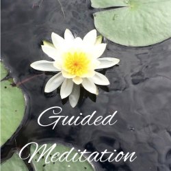 Breath Work Meditation (Afternoon session)