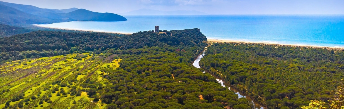 Tuscany Environment Foundation Charity Dinner & Auction