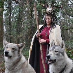 Wolves & Story Teller