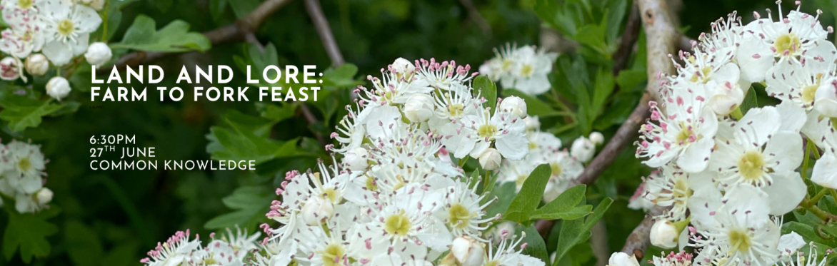 Land and Lore: Farm to Fork Feast JUNE SOLD OUT : July onsale