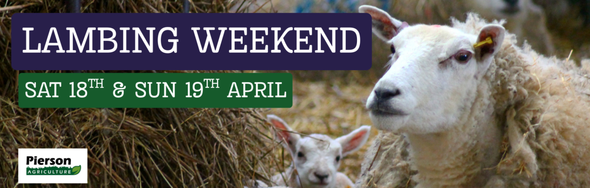 Four Winds Farm Lambing Weekend- Saturday 18th & Sunday 19th April 2026