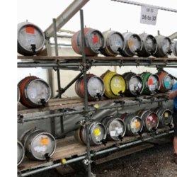 Bransgore Beer Festival 2026