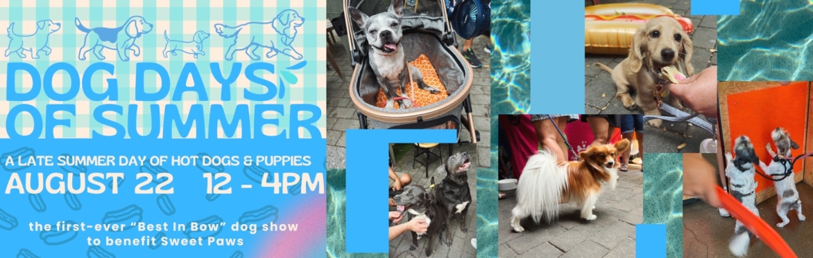 Dog Days of Summer: A Day of Hot Dogs & Puppies
