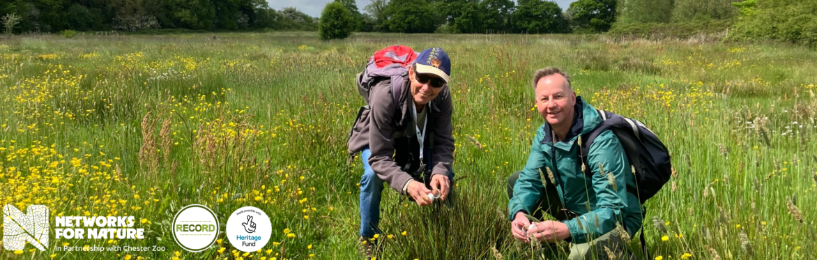 Image of two people crouching down in a sunny meadow.