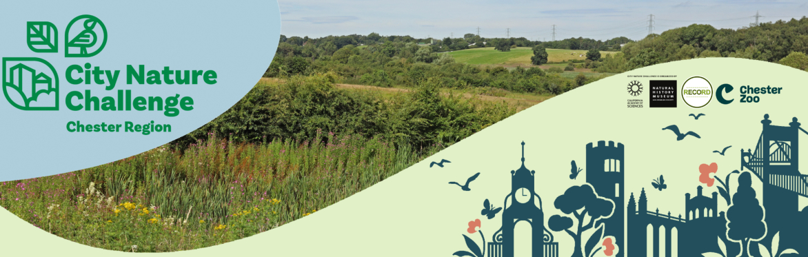 iNaturalist wildlife recording training at Chester Zoo Nature Reserve