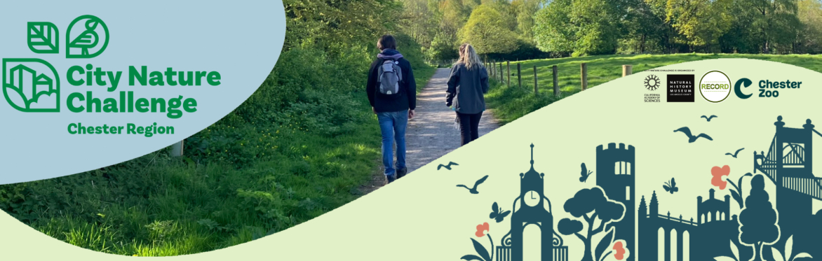 Banner displaying Chester Region City Nature Challenge Logo, two people walking through a field and a graphic of a city landscape.