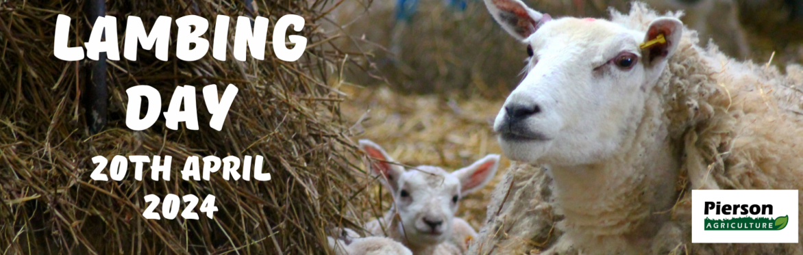 Four Winds Farm Lambing Day- Saturday 20th April