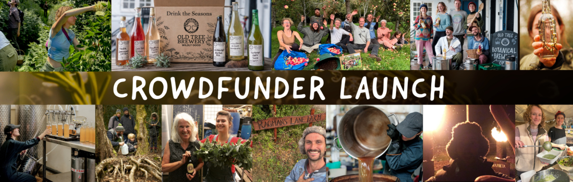The Next Decade of Old Tree ! Community Crowdfunder Launch