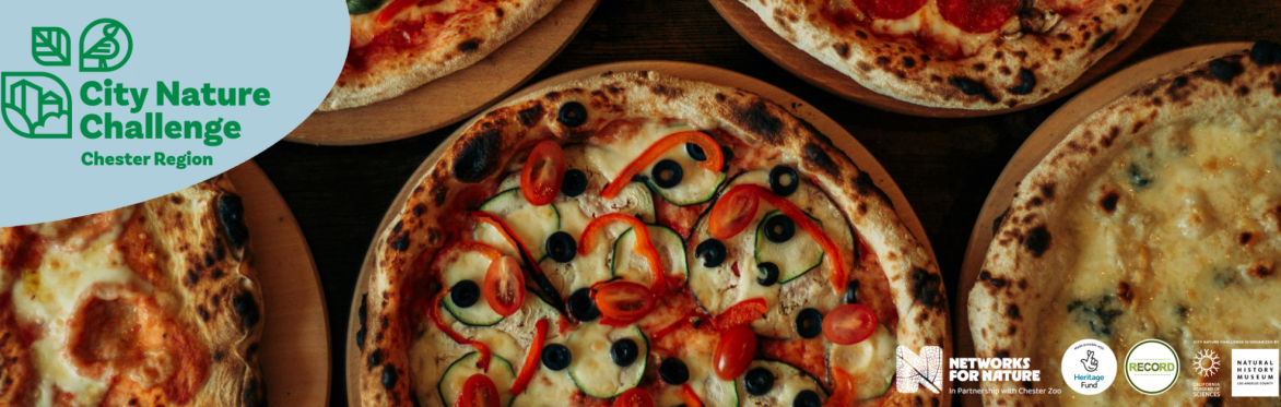 Image of pizzas. Text reads: City Nature Challenge, Chester Region.