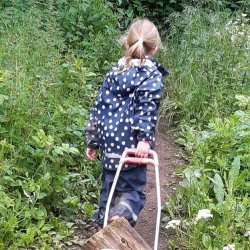 Bramblewood Saturdays: Block of 6 fortnightly drop-off sessions for 4-13 year olds for the 2026 Summer term (Buzzards)