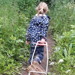 Bramblewood Saturdays: Block of 6 fortnightly drop-off sessions for 4-13 year olds for the 2026 Summer term (Badgers)