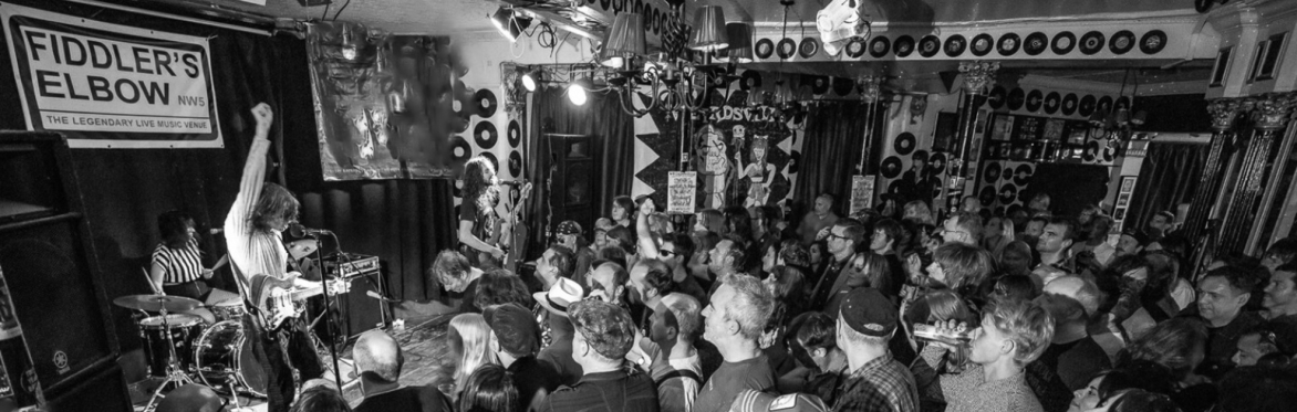 Rose White LIVE at The Fiddler's Elbow