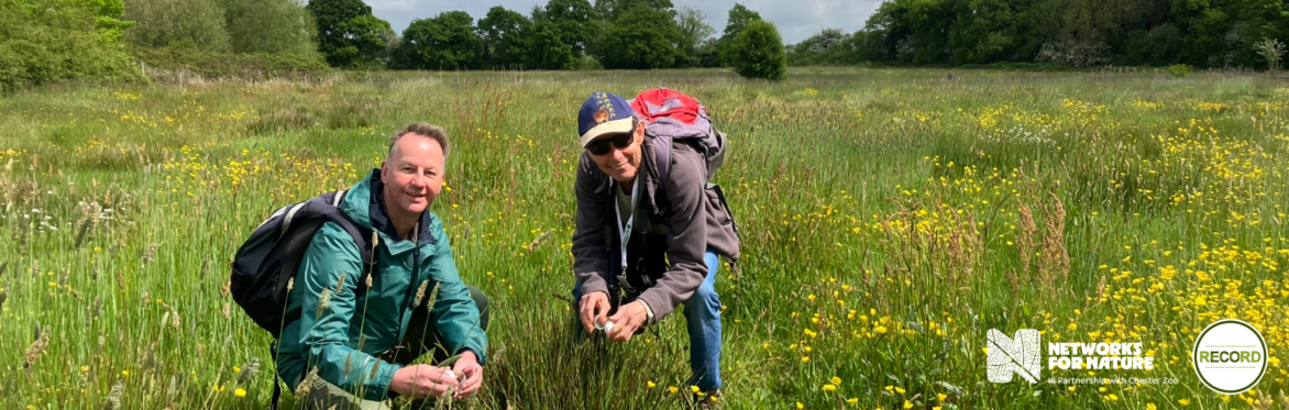 Image of two people crouching in a sunny field surrounded by buttercups.
