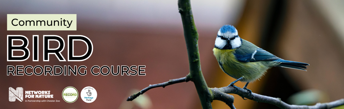 Image of a blue tit standing on leaf-less branch. Text reads: Community bird recording course