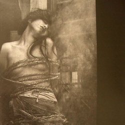 Introduction to Shibari (beginner and all levels)