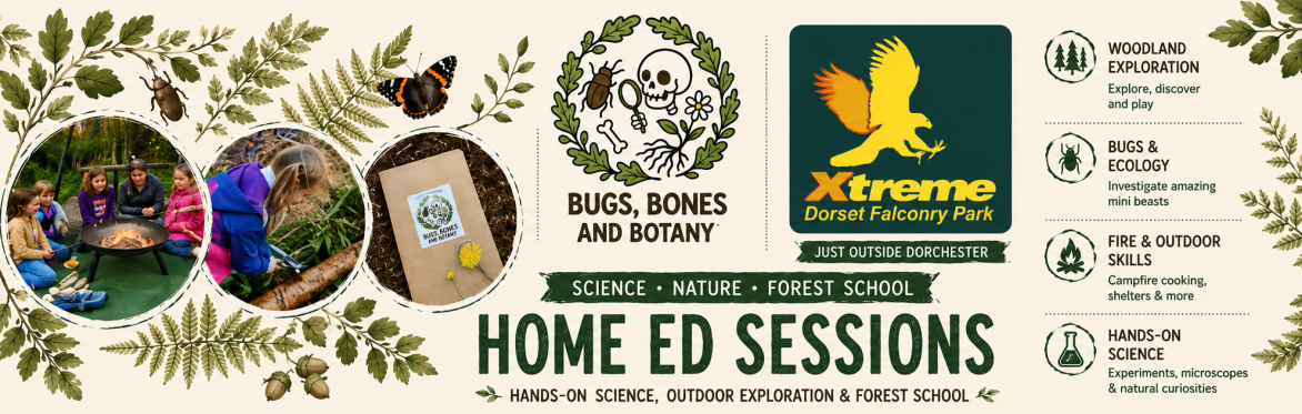 HE: 5-11 years Forest Science Sessions