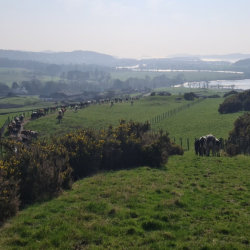 Farm Walk: Regen Dairy and Parasite Control