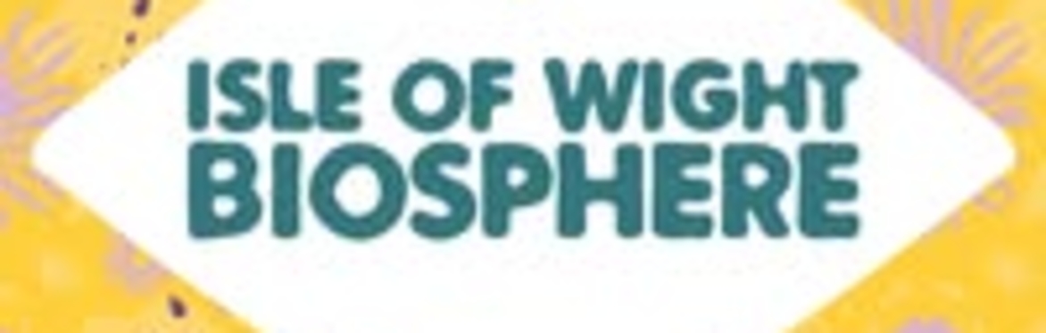 🌿 Seaview Seagrass Wade and Survey – Biosphere Festival 2025