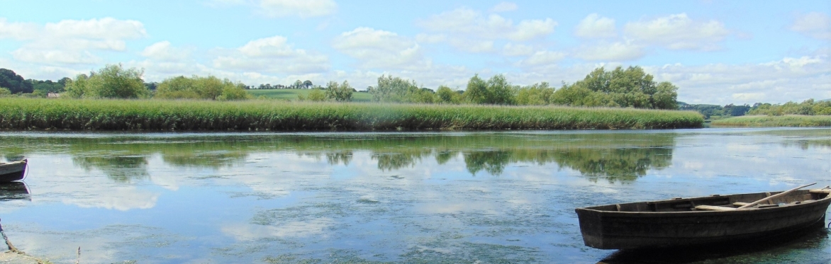 Identification of Brackish Water Aquatic Plants